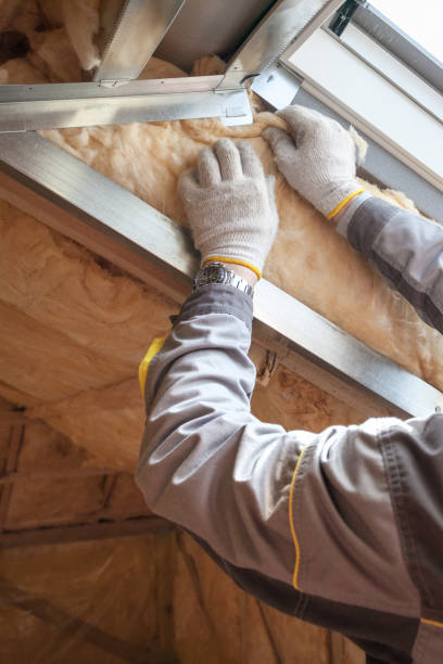 Professional Insulation Contractor in Orion, IL